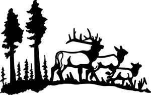 Deer Hunting 